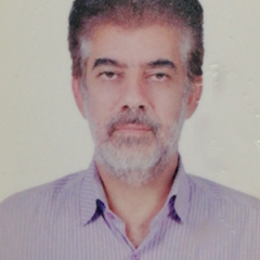 علی مزینانی عسکری